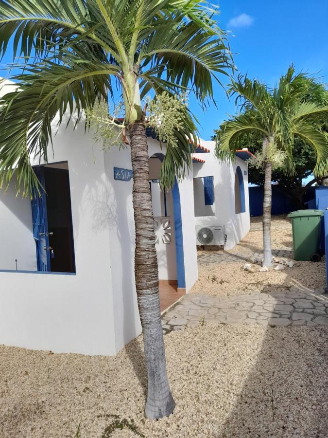 Caribbean Chillout Apartments Kralendijk Exterior foto