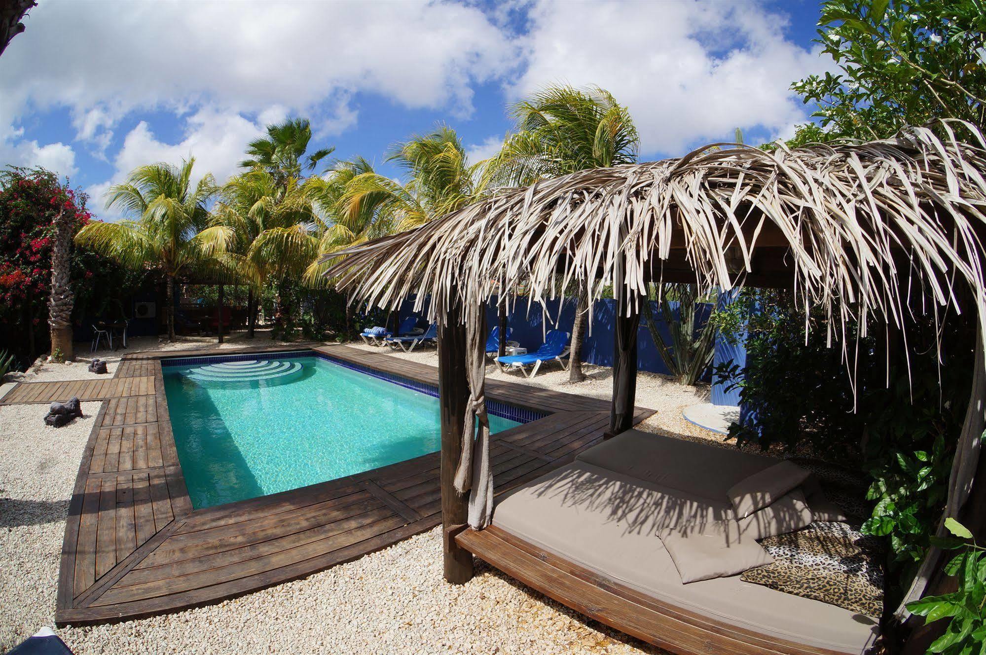 Caribbean Chillout Apartments Kralendijk Exterior foto