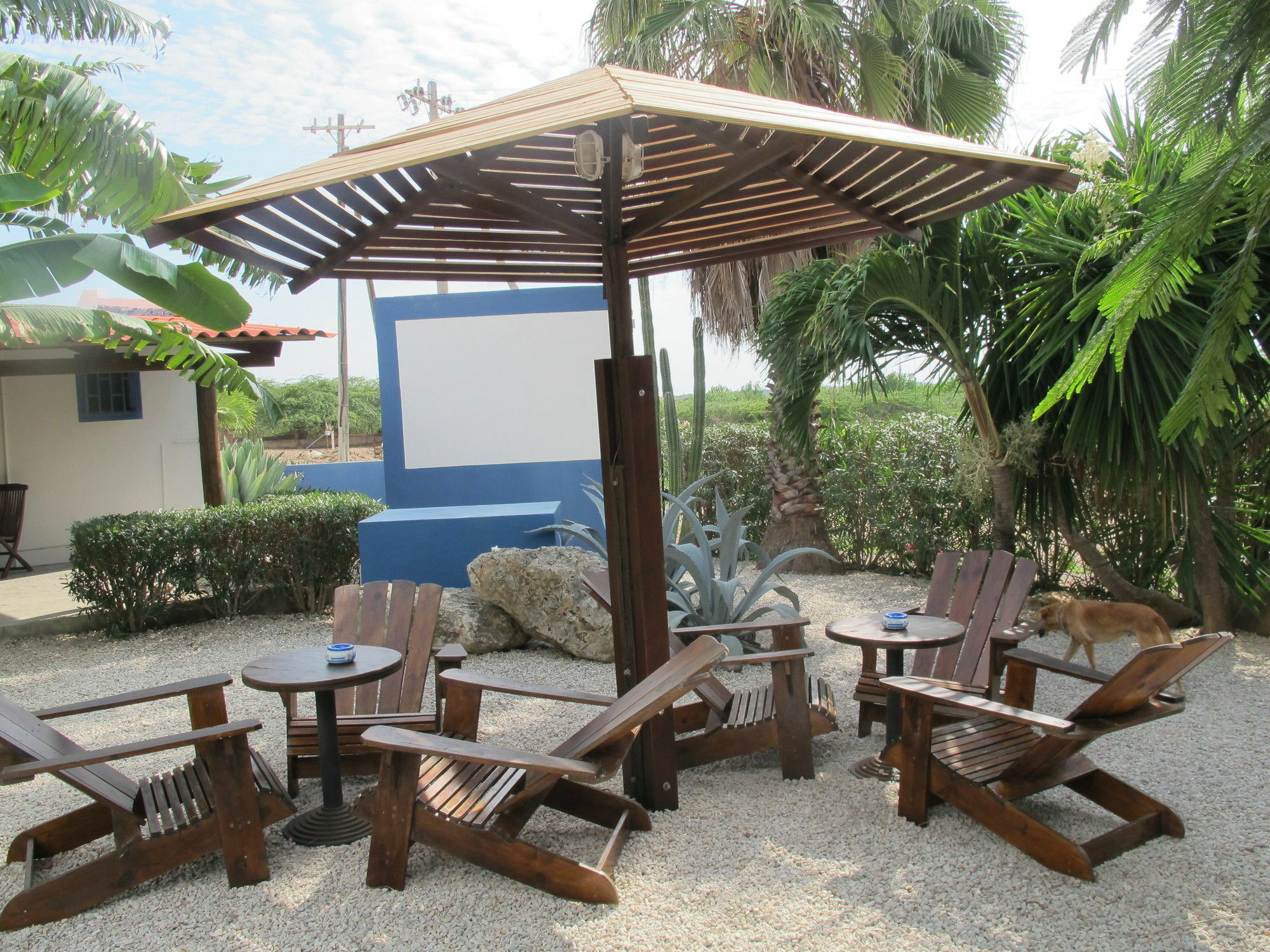 Caribbean Chillout Apartments Kralendijk Exterior foto