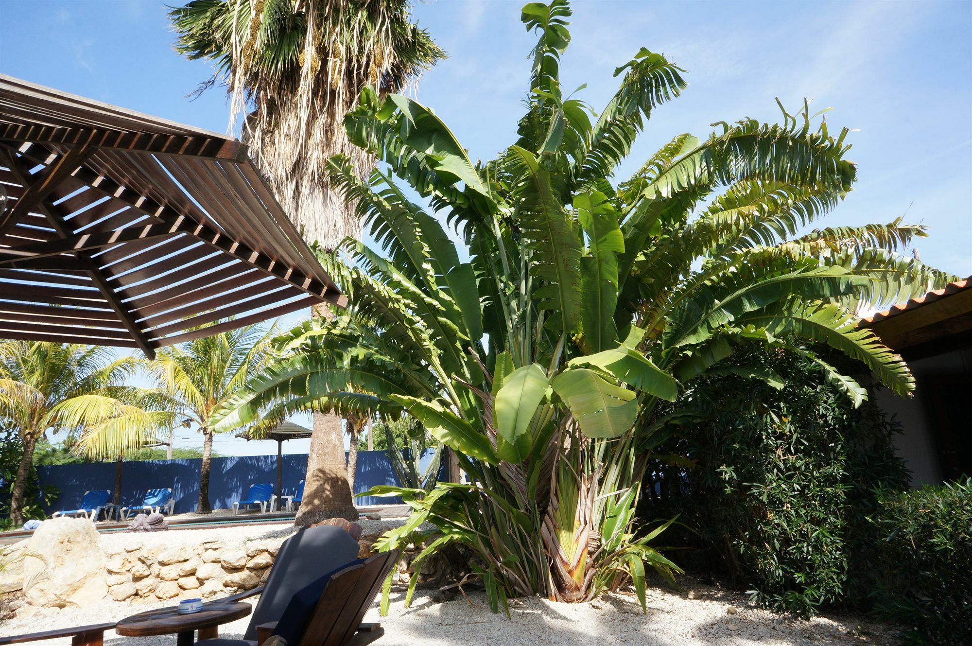 Caribbean Chillout Apartments Kralendijk Exterior foto